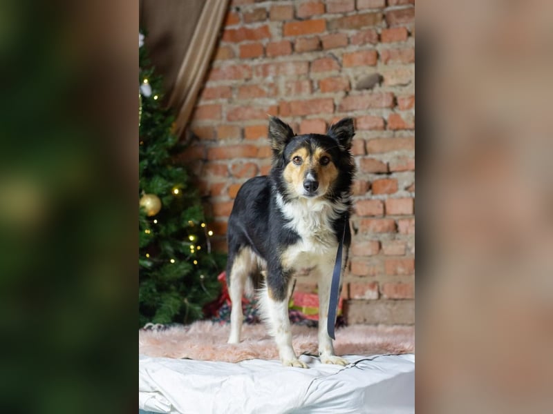 ORFEY Sucht Anschluss (Ukraine)