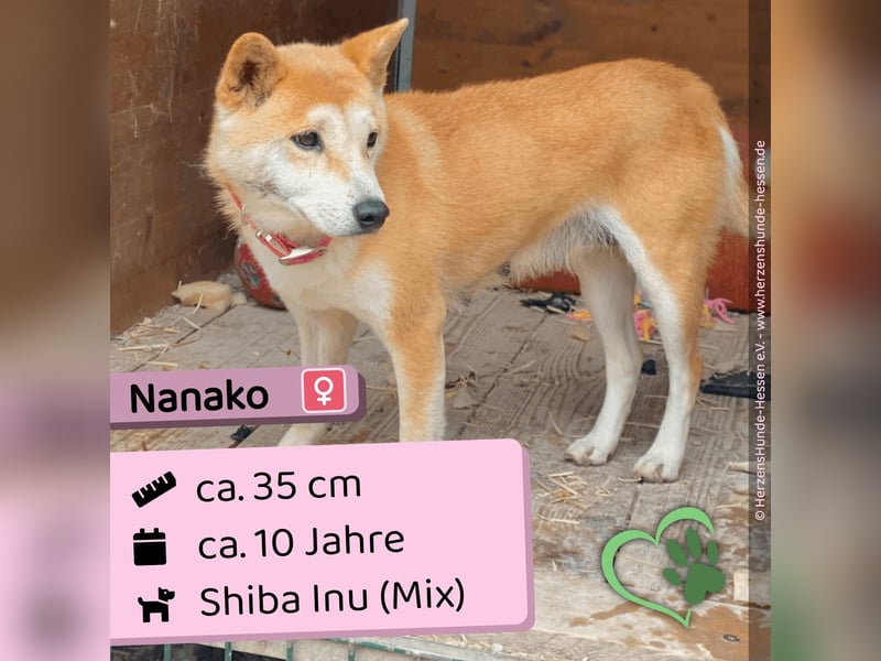 Nanako