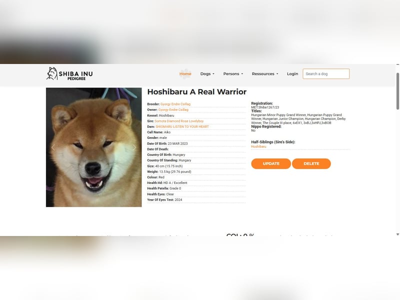 Wunderschöne Shiba Inu Welpen suchen ein liebevolles Zuhause!
