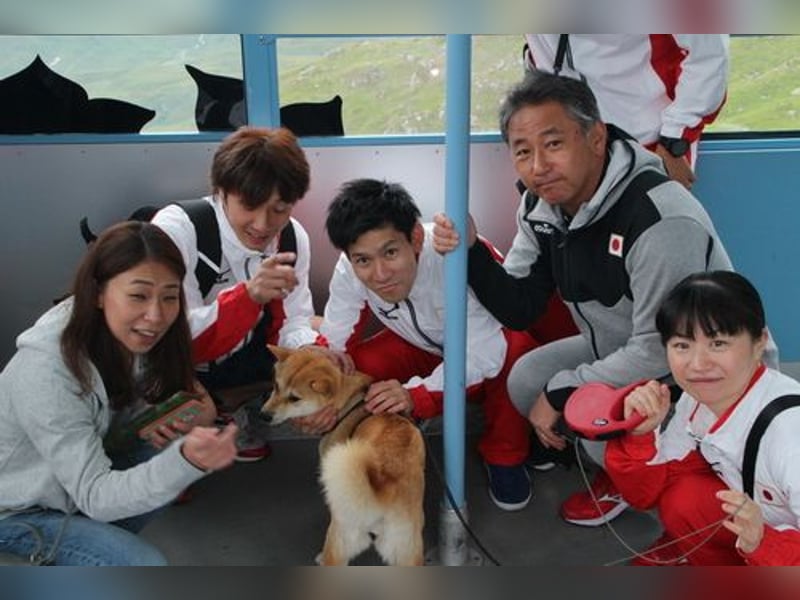 Erstklassige Shiba Inu Zucht in Sachsen