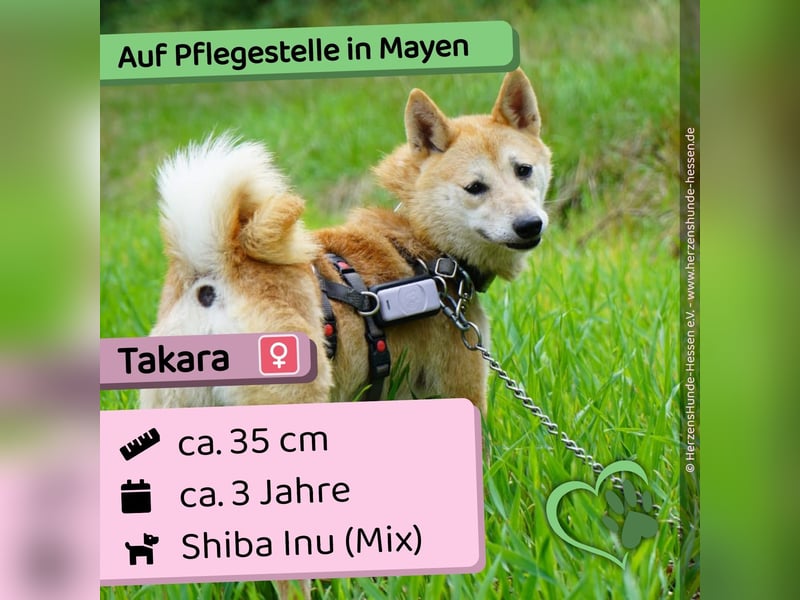 Takara
