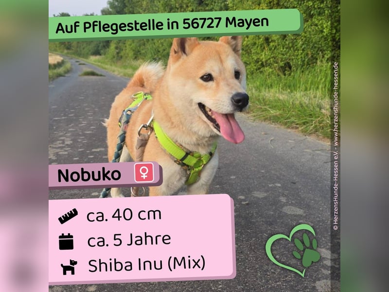 Nobuko