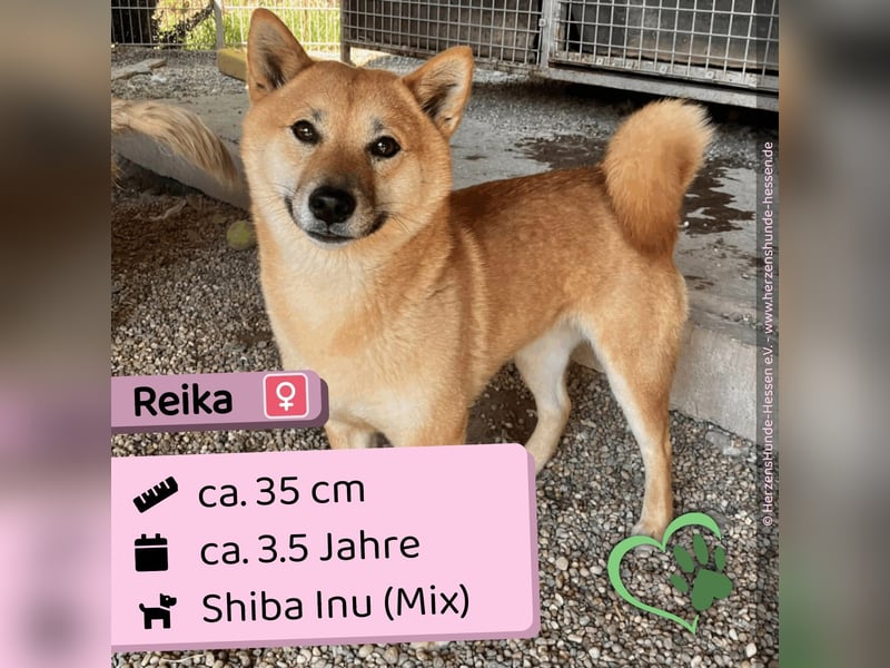Reika