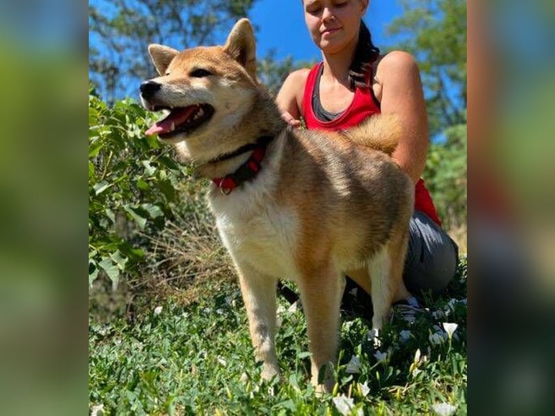 BELLA ist eine zuckersüßes Mädel
