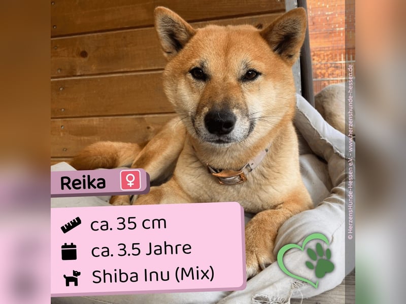 Reika