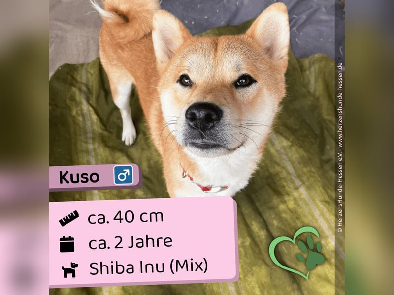 Kuso