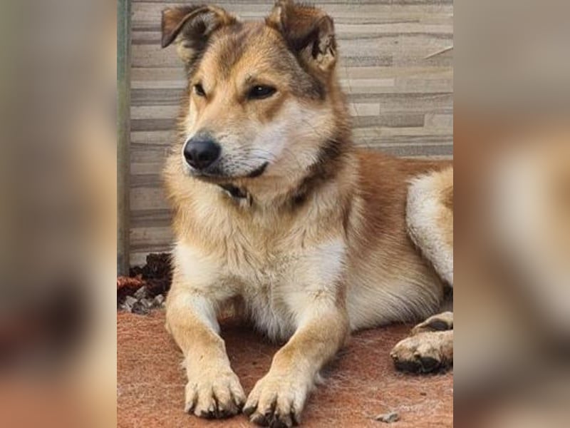 Santo, freundlich und sozial