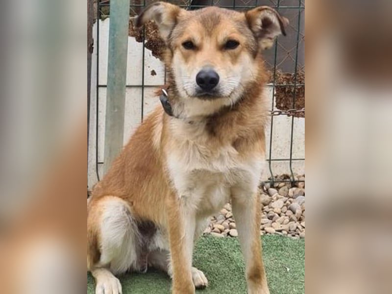 Santo, freundlich und sozial