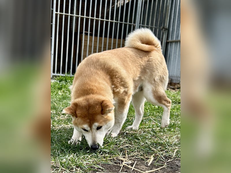 Naomi sucht dich!
