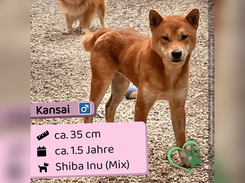 Kansai