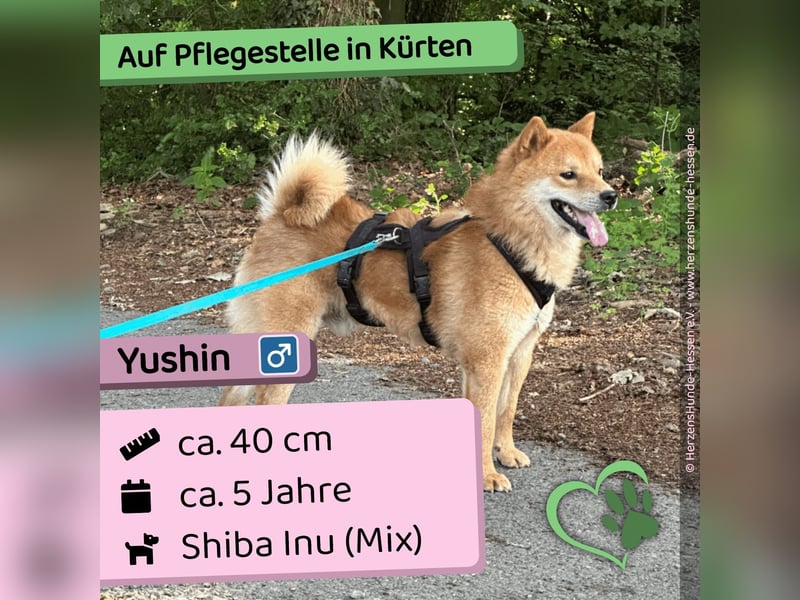 Yushin