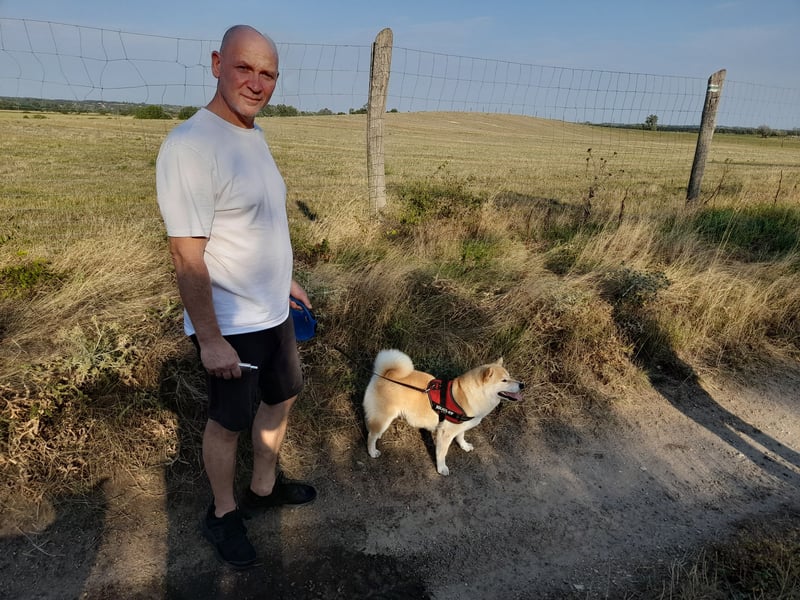 Wunderschöne Shiba Inu Welpen suchen ein liebevolles Zuhause!