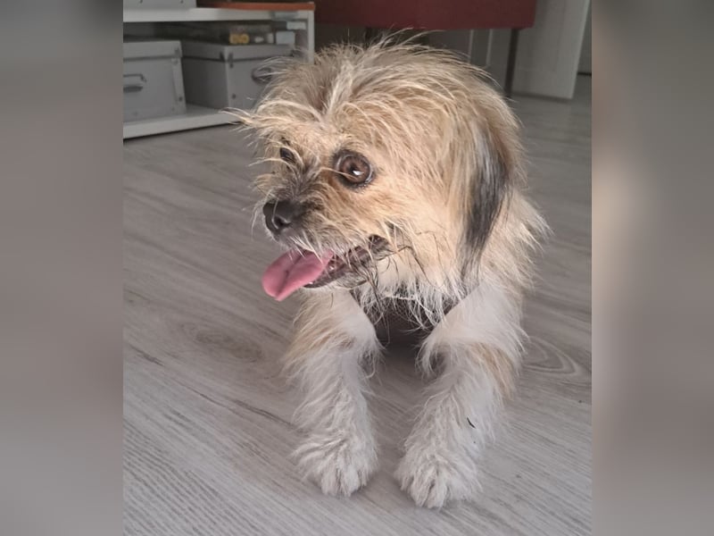 Lana ein winziger Schatz