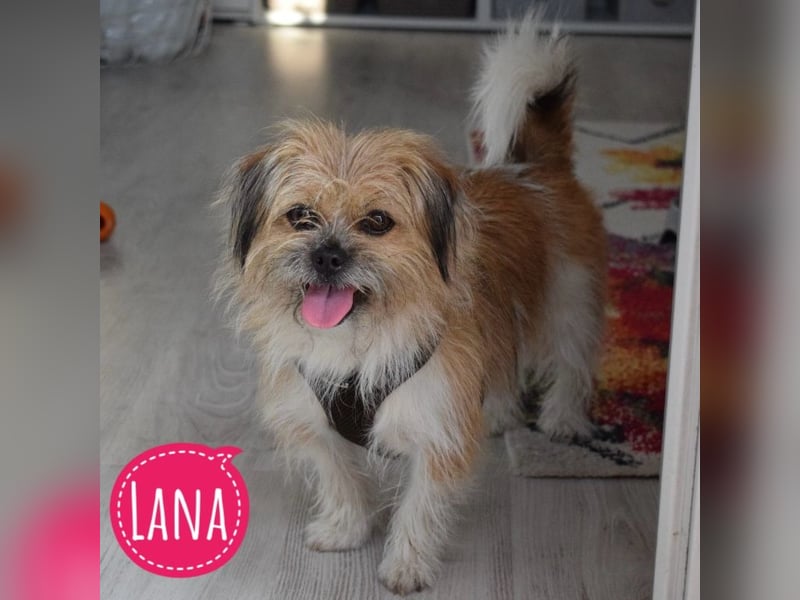 Lana ein winziger Schatz