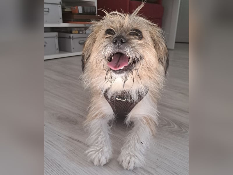 Lana ein winziger Schatz