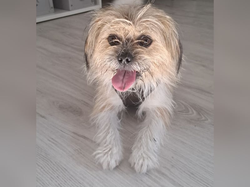 Lana ein winziger Schatz