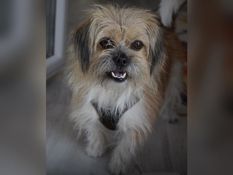 Lana ein winziger Schatz