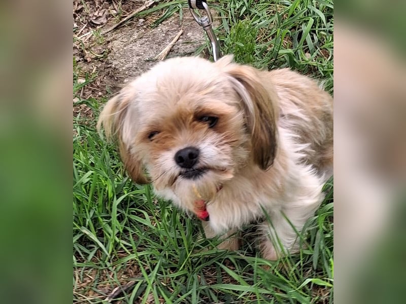 Bob sucht am Liebsten mit Schwester ein Zuhause