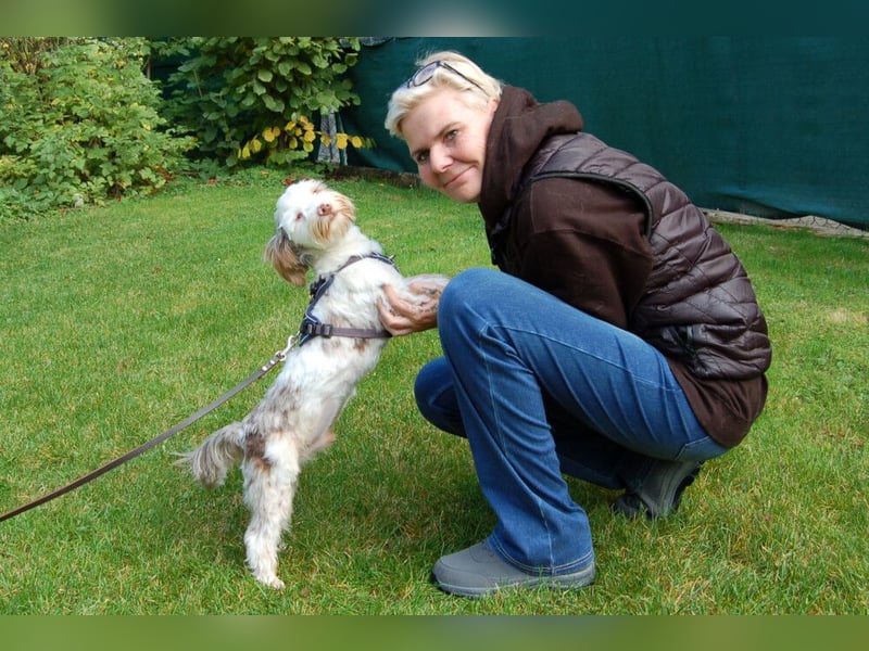 Eddi - kleines Sorgenkind braucht Geduld und Zeit - Tierhilfe Franken e.V.