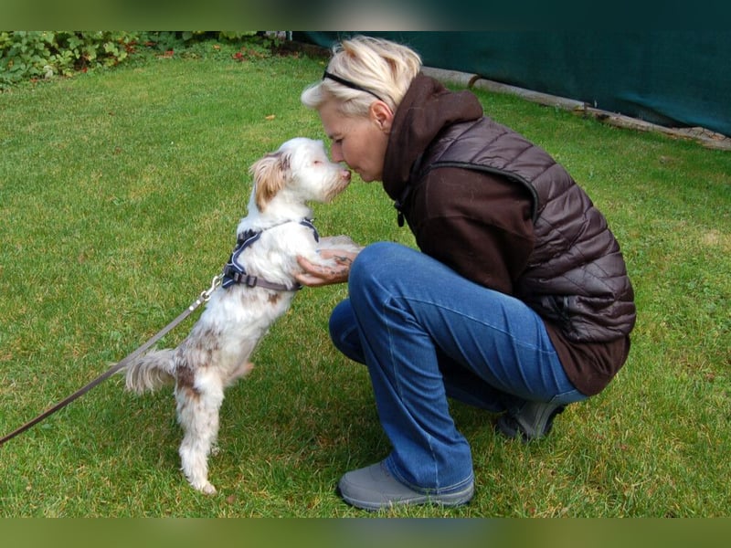 Eddi - kleines Sorgenkind braucht Geduld und Zeit - Tierhilfe Franken e.V.