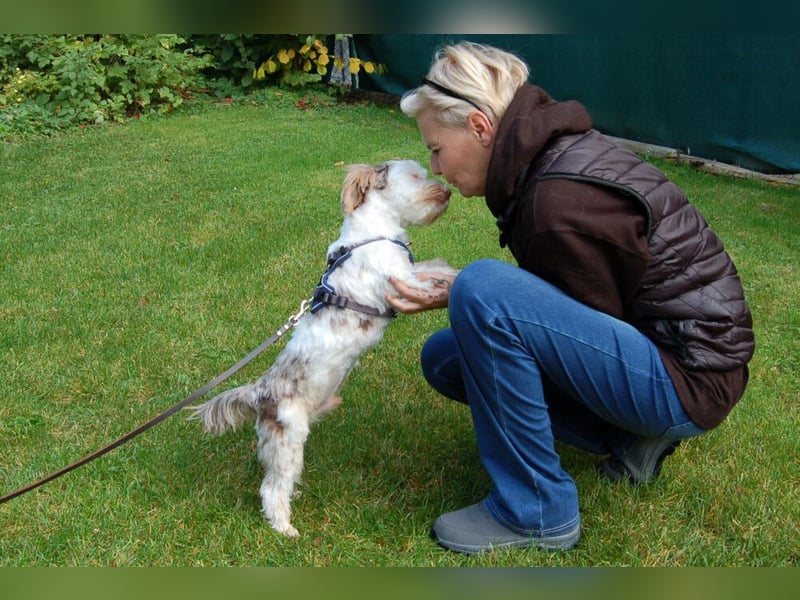 Eddi - kleines Sorgenkind braucht Geduld und Zeit - Tierhilfe Franken e.V.