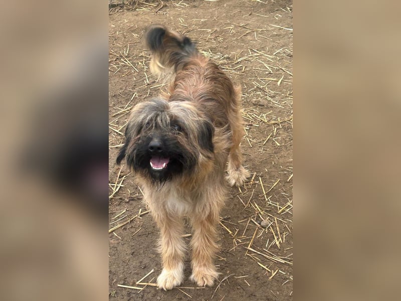 Marek - kleine Wuschelmaus