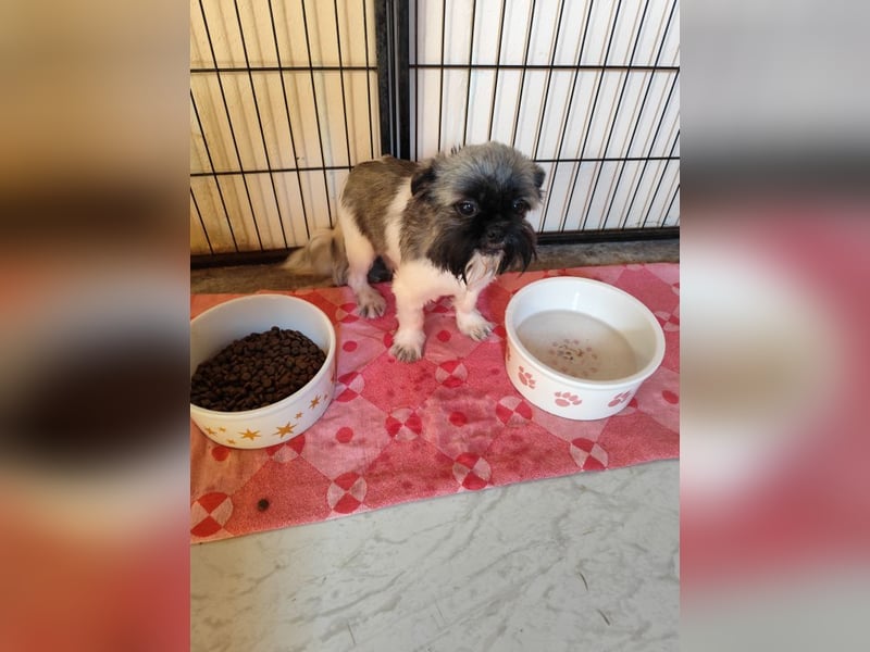 Fynn - Wer spendet dem kleinen Mann Liebe und Geborgenheit, trotz Handicap