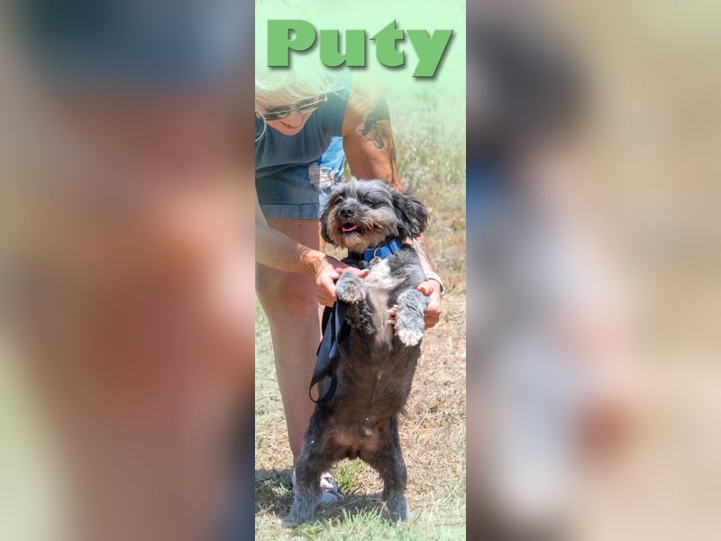 Puty - ein reizender Junge