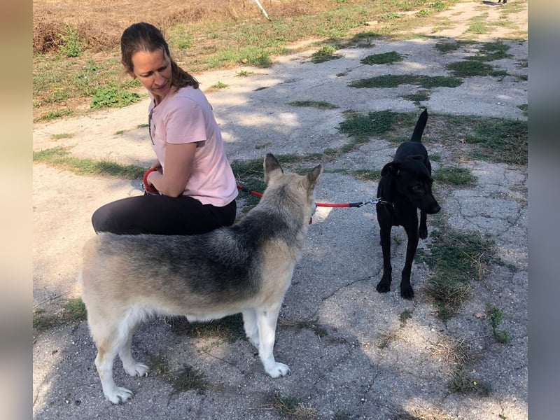 YUKA ❤️ sucht Zuhause oder Pflegestelle