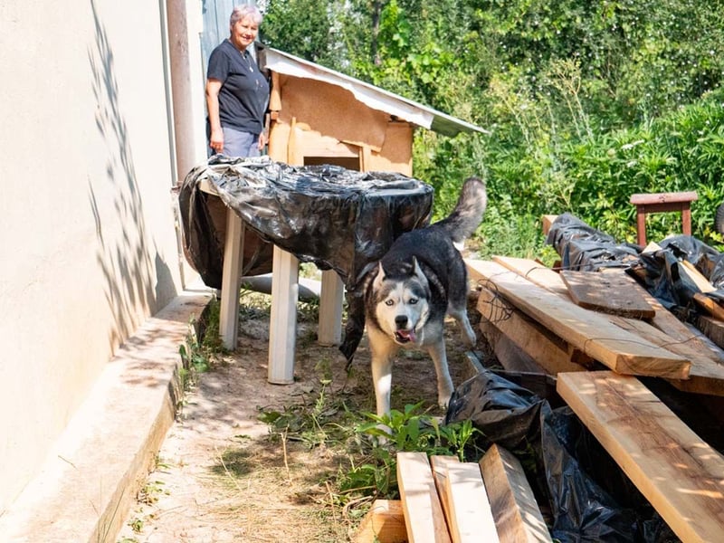 SHEYLLA-großes Herz auf der Suche nach ihrer liebevollen Für-immer-Familie