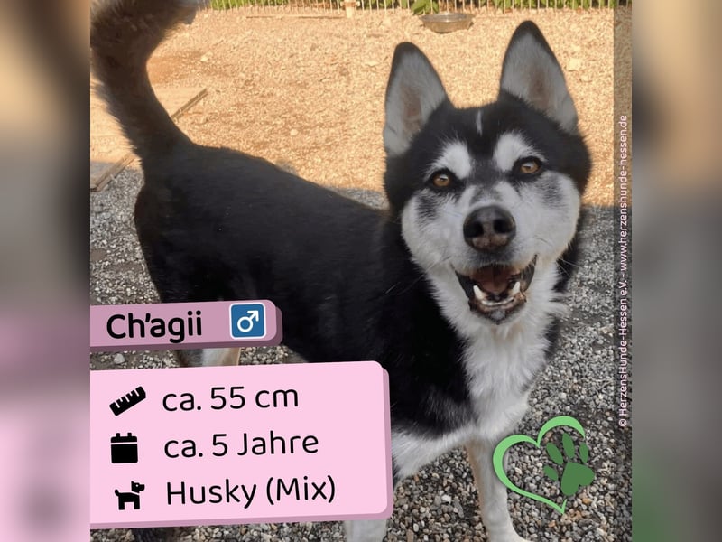 Ch‘agii