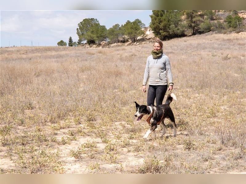 PRINCESA-sanft, loyal, treu, berührt die Herzen