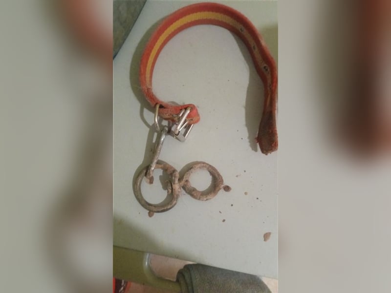 PRINCESA-sanft, loyal, treu, berührt die Herzen