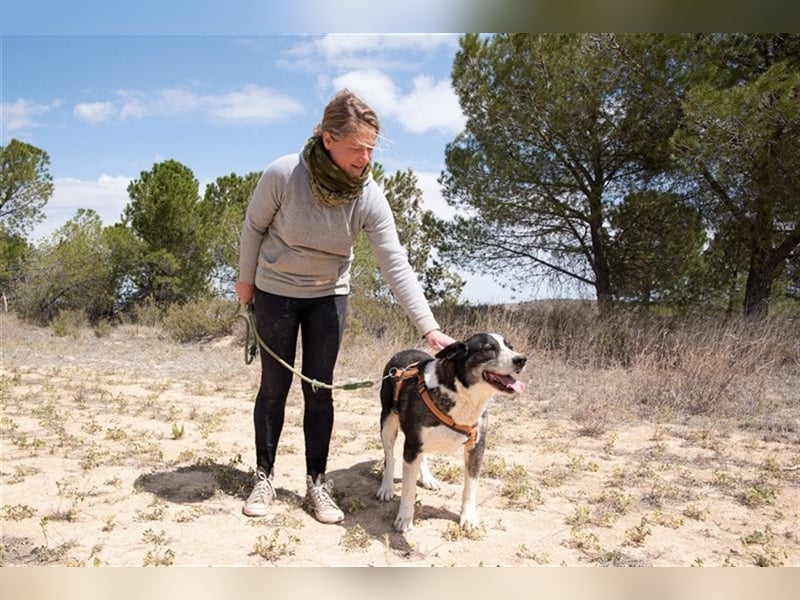 PRINCESA-sanft, loyal, treu, berührt die Herzen
