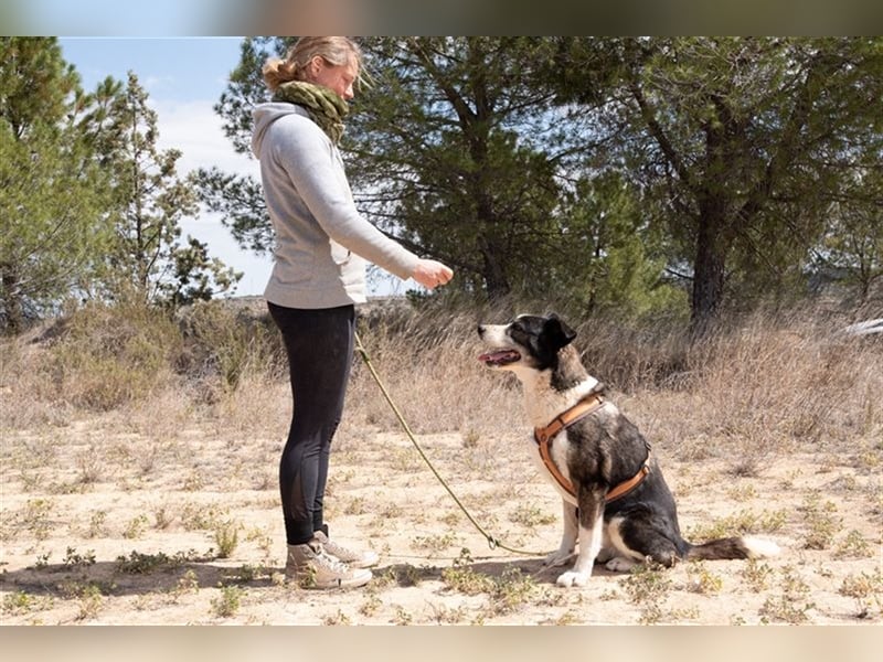 PRINCESA-sanft, loyal, treu, berührt die Herzen