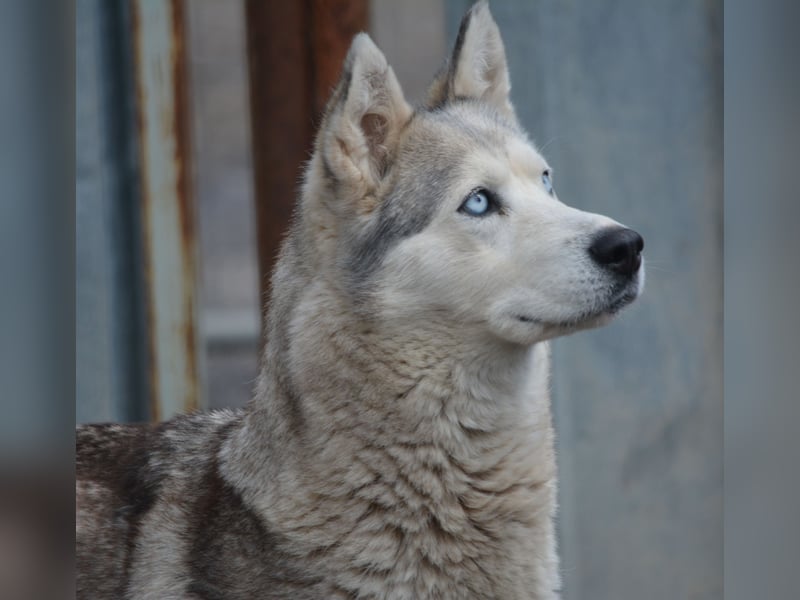 Hanna, ca. 2023/24 geboren, selbstbewusst und aktiv