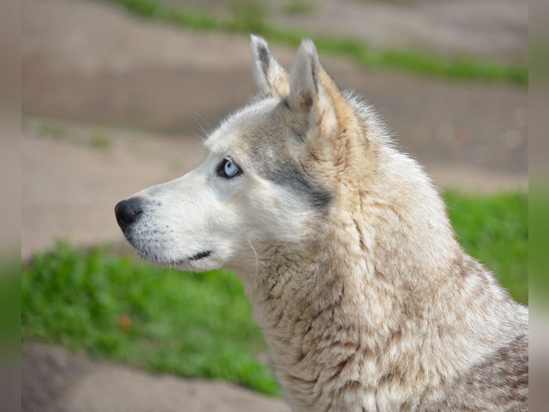 Hanna, ca. 2023/24 geboren, selbstbewusst und aktiv