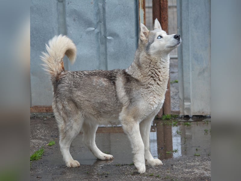 Hanna, ca. 2023/24 geboren, selbstbewusst und aktiv