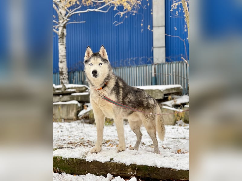 LIBRON- sucht aktive Familie