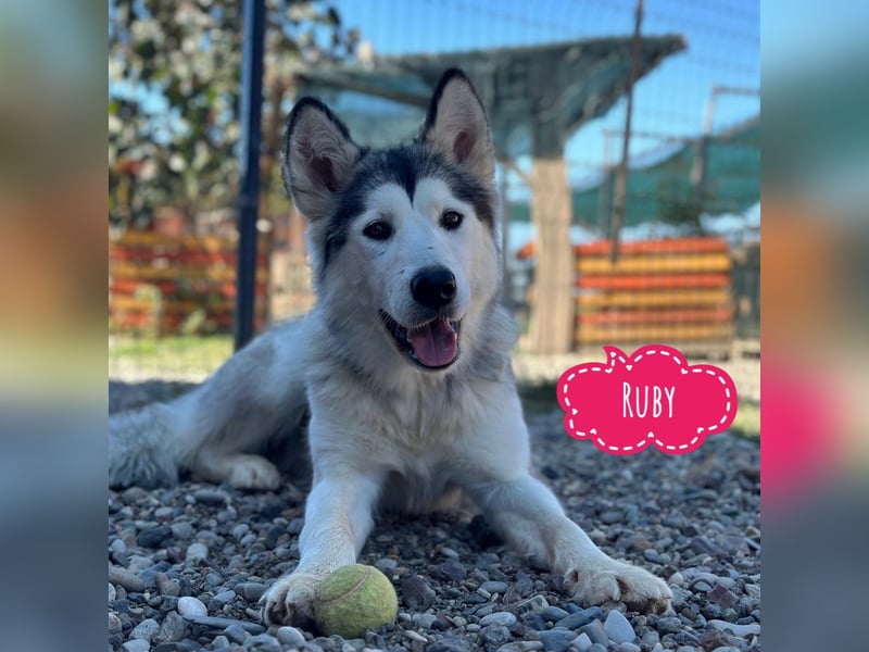 Ruby ein tolles Mädchen