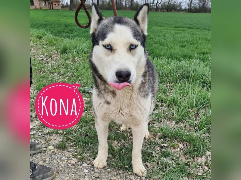 Kona ein trauriger Engel