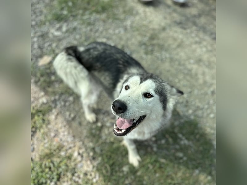 Ruby ein tolles Mädchen