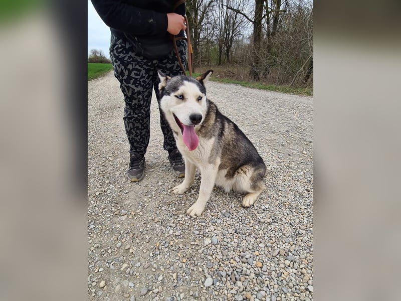 Kona ein trauriger Engel