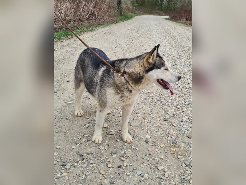Kona ein trauriger Engel