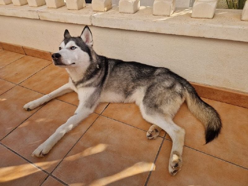 Eve, ein Leben auf dem Balkon ;-(   , fast  2 Jahre lang