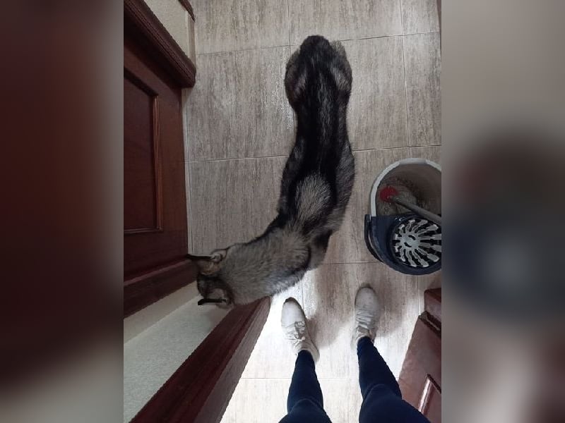 Eve, ein Leben auf dem Balkon ;-(   , fast  2 Jahre lang