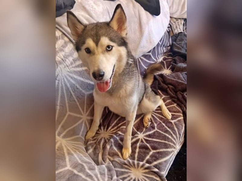 Eve, ein Leben auf dem Balkon ;-(   , fast  2 Jahre lang