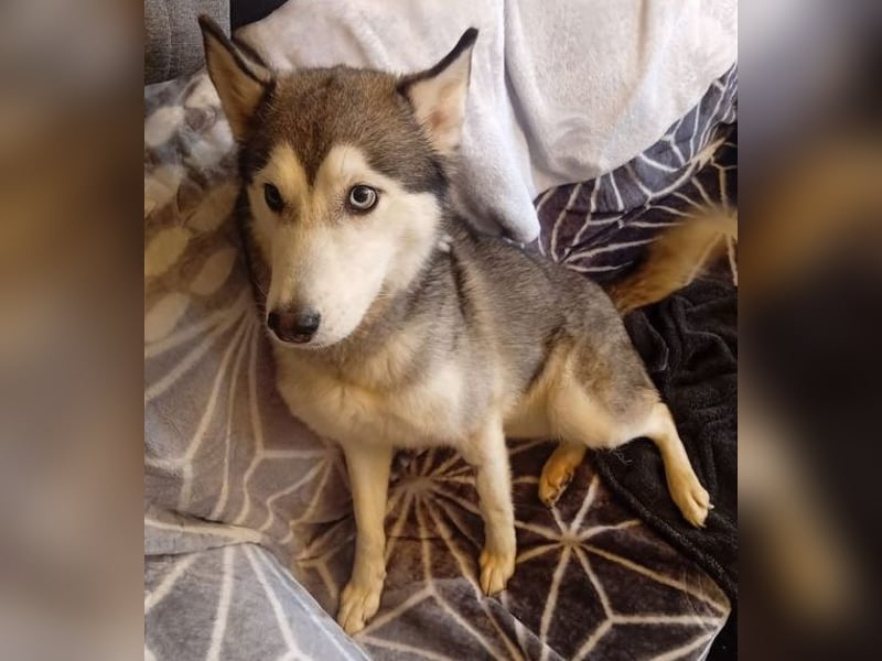Eve, ein Leben auf dem Balkon ;-(   , fast  2 Jahre lang