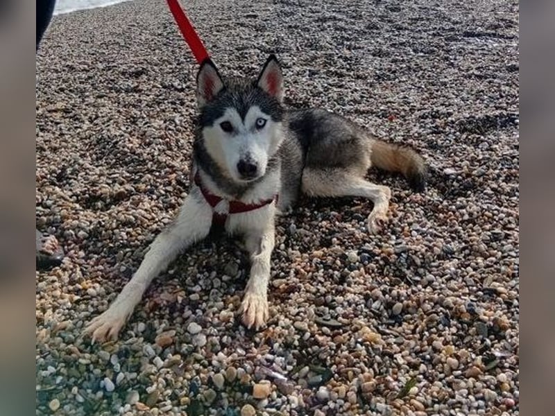 Eve, ein Leben auf dem Balkon ;-(   , fast  2 Jahre lang