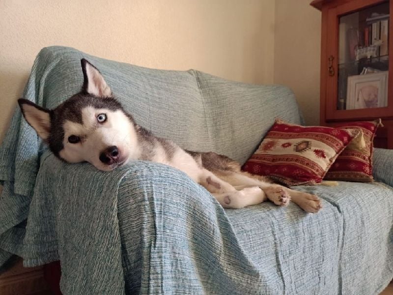 Eve, ein Leben auf dem Balkon ;-(   , fast  2 Jahre lang
